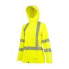 Radians RW12L Hood Up